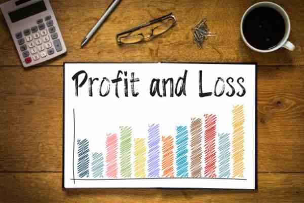 Demystifying Financial Management: How Profit and Loss Software Empowers Businesses